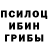 Псилоцибиновые грибы мицелий asik M