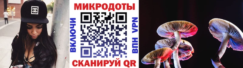 Галлюциногенные грибы Psilocybine cubensis  OMG сайт  Тулун 